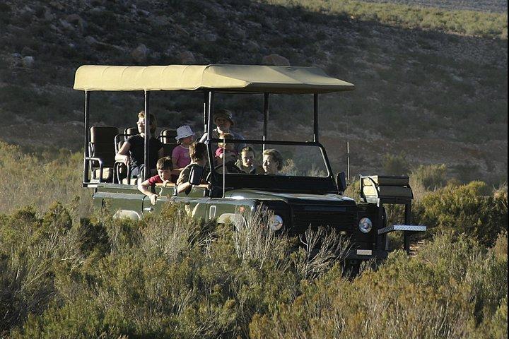 Safari privé BIG5 près du Cap