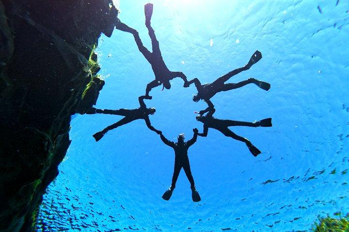 無料の写真付きシルフラ ドライスーツ シュノーケリング ツアー - レイキャビク発