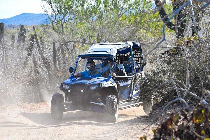 Combo RAZOR oder ATV + HorseBack Riding Beach & Desert Adventure