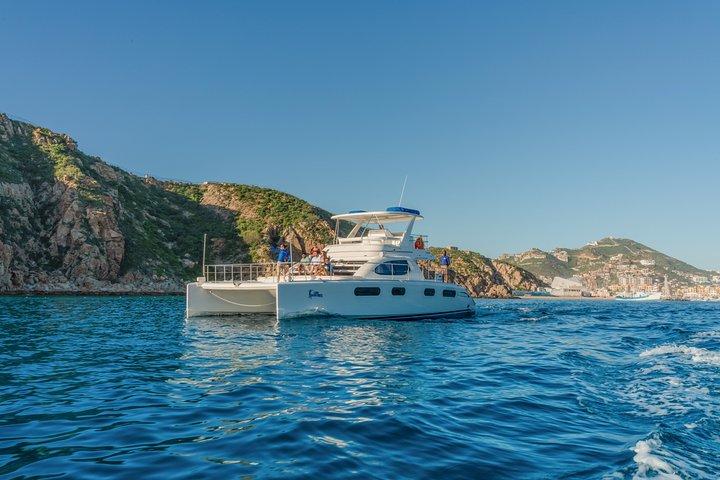 Luksus katamaran hvalsafari Cabo San Lucas