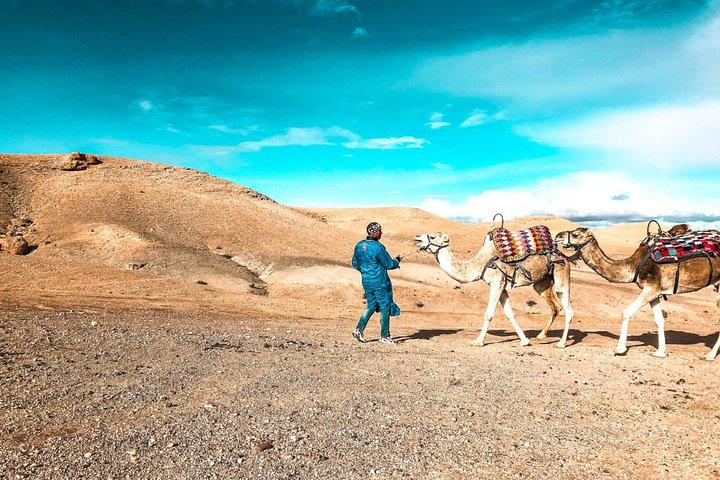 Premium Agafay Desert & Camel Safari Day Tour desde Marakech