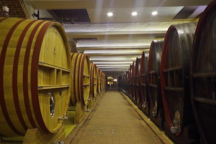 Tikves Winery Private Wine Tour vanuit Skopje