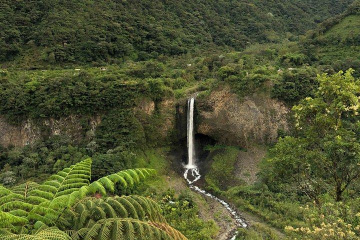 Andes y Amazonas, la Ruta del Triángulo 4 Días / 3 Noches (Viaje PRIVADO desde Quito)