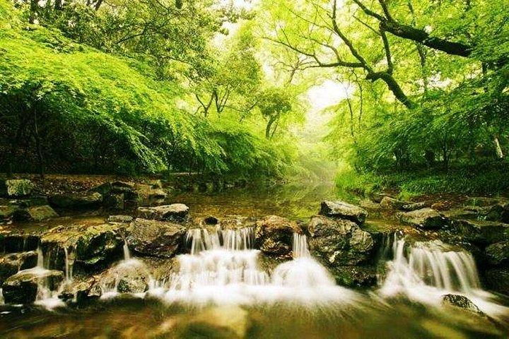 Excursão privada de meio dia em Hangzhou com cruzeiro no Lago Oeste e Templo Lingyin