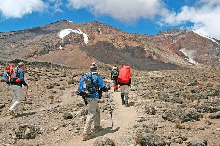 Mount Kilimanjaro : 7 - Dag Trekking - Lemosho Route