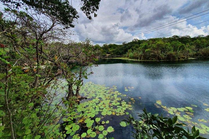Privado - Ruínas de Tulum e 3 Cenotes Jungle Adventure