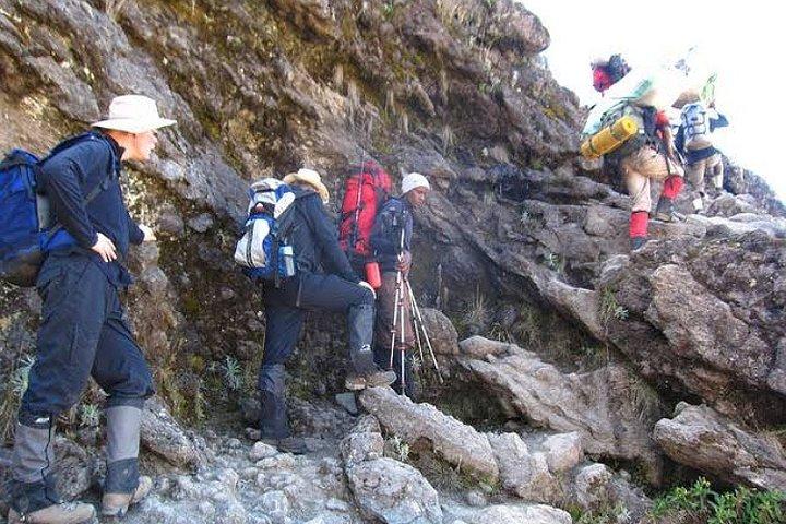Mount Kilimanjaro : 7 - Dag Trekking - Machame Route