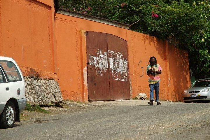 Dunns River Falls e Bob Marley Nine Mile Private Tour