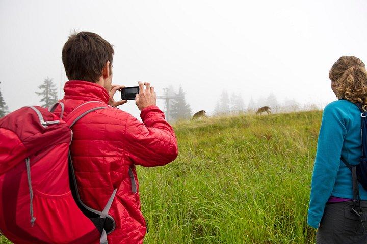 Canmore: Wilderness & Wildlife Tour - 2hr Walk