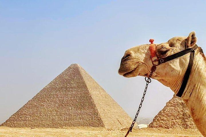 Privé dagtocht naar Caïro vanuit Hurghada