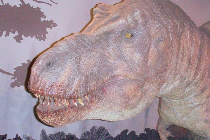 Een dag in het museum - Natural History Museum Londen