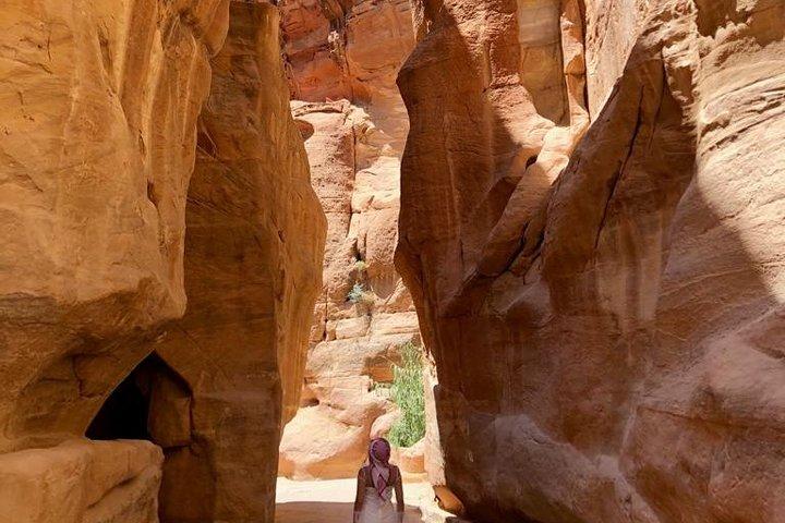 Visita a la parada de Petra