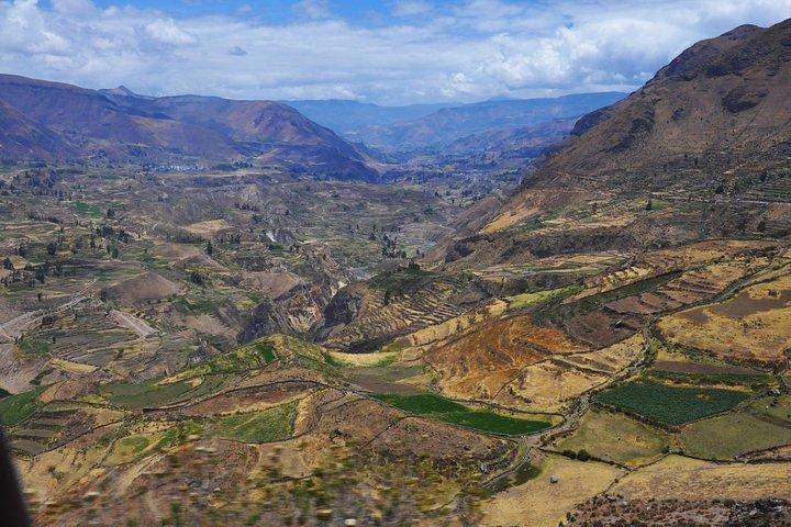 Trekking i Colca Canyon - 2 dage