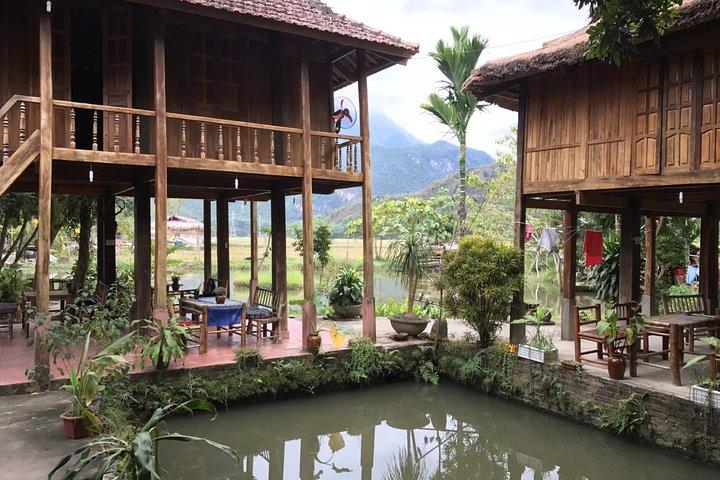 Hanoi Mai Chau Halong Hue Hoi An Ho Chi Minh de 14 dias
