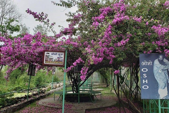 ポカラからのOSHOウパバン村デイツアー