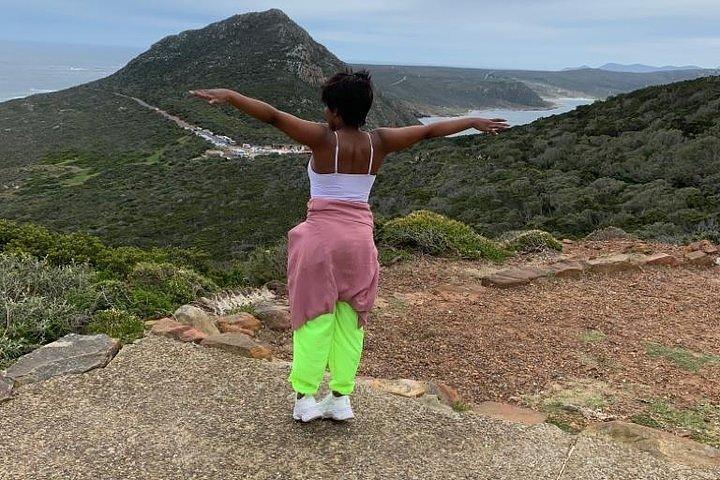 Privat: Cape Peninsula med Winelands Heldagstur.
