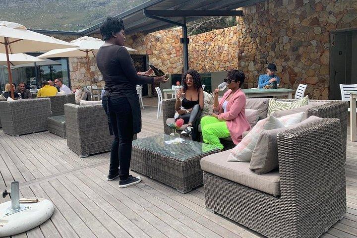 Privat: Cape Peninsula med Winelands Heldagstur.
