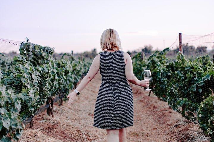 Tour Privado de Vinho e Azeite em Pádua com Banhos Termais