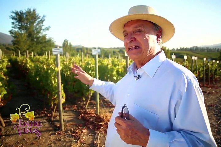 Privat Halvdag Concha Y Toro vingårdstur fra Santiago