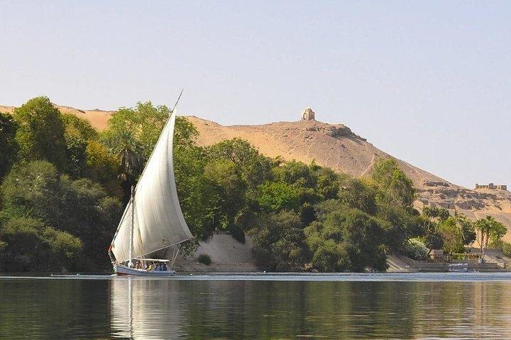 Privat Over dagen fra Kairo for at udforske højdepunkterne i Aswan med indenrigsflyvning og frokost inkluderet
