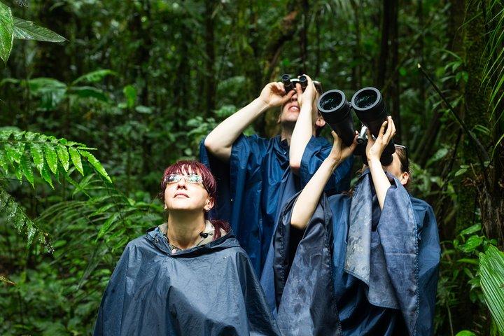 Forfait vacances Greenway Adventures 8J / 7N