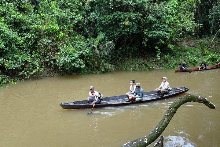5-dages dyreliv i Pacaya National Park fra Iquitos