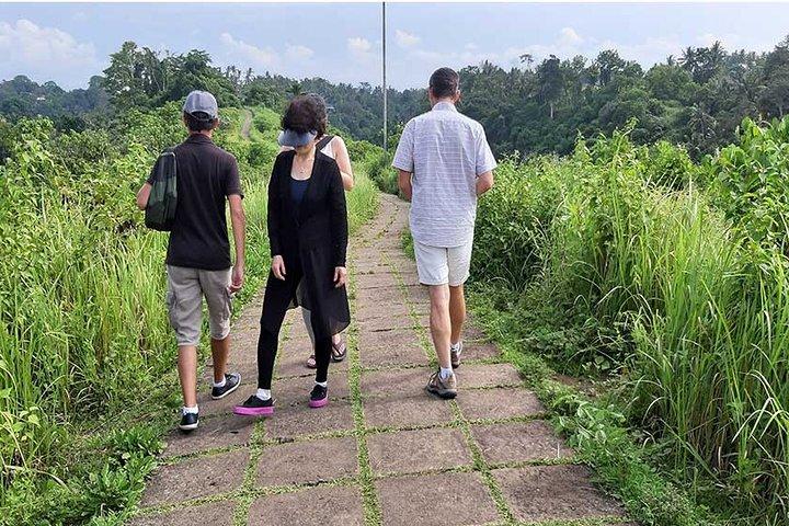 Privétour: Campuhan Ridge Walk, Ubud Rice Terrace & Ubud Palace