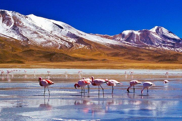 Uyuni Salt Flats - FULL DAY - La Paz - Uyuni - La Paz