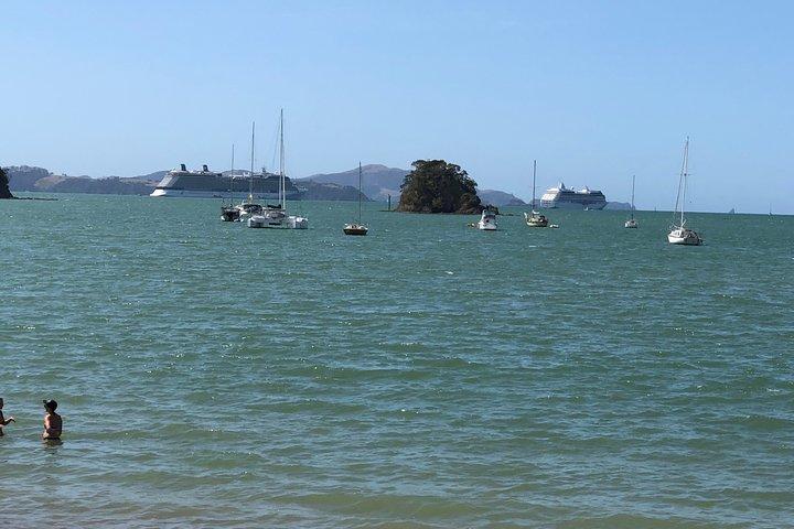 Auckland nach Whangarei oder Paihia - Luxus Transfers