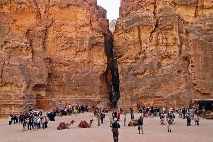 Gita giornaliera privata a Petra da Amman con prelievo dall'hotel