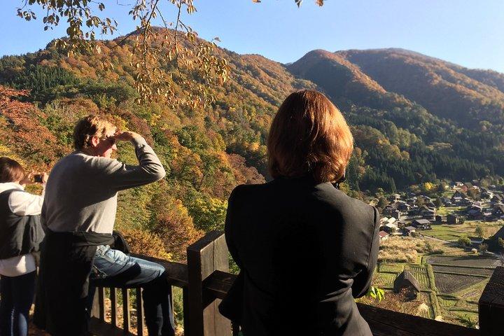 金沢発白川郷プライベートツアー(半日)