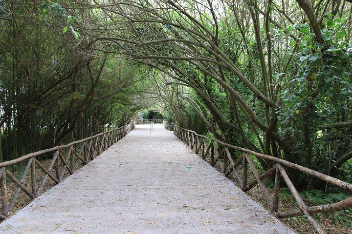 Visita guidata di gruppo al parco archeologico della Neapolis