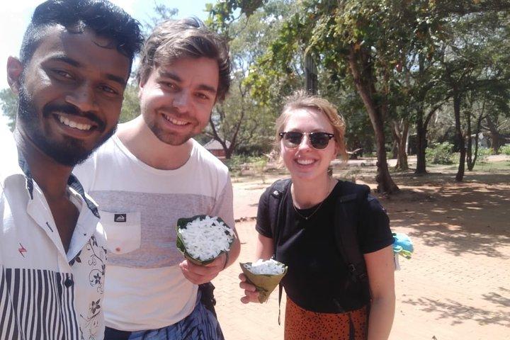 Excursion d'une journée d'Anuradhapura à Sigiriya
