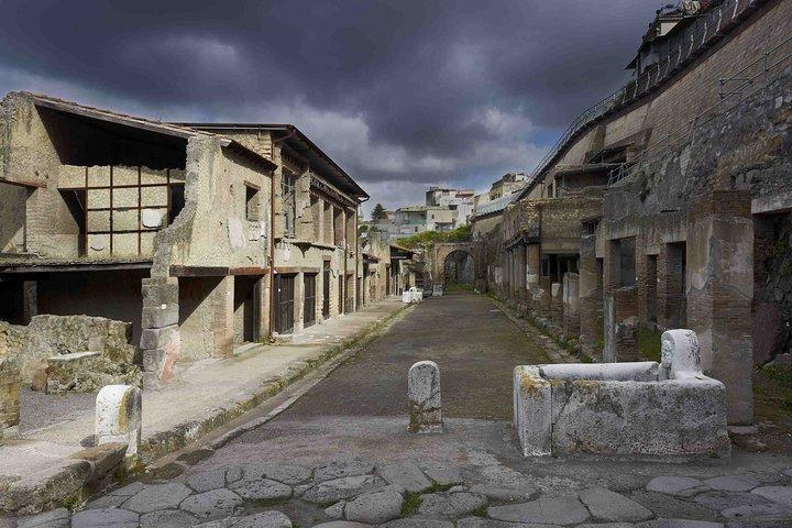 Tour privado Pompeii Vesuvius e Winery from Sorrento