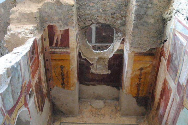 Tour privado Pompeii Vesuvius e Winery from Sorrento