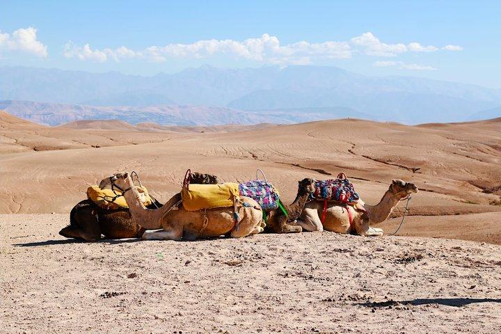 Marrakech: High Atlas Mountains, Valleys, & Waterfalls Tour