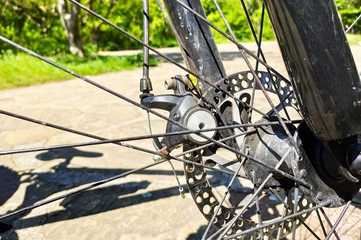 Cykla privat, Europas kulturhuvudstad - Plovdiv