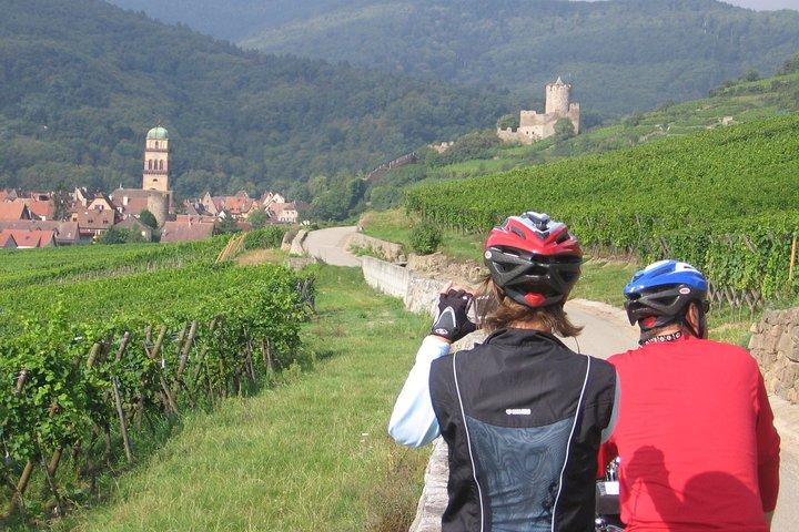 アルザスのブドウ園とワイン村のプライベートバイクツアーを通して