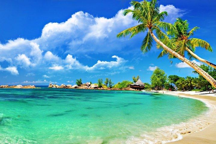 Cham Island-trip per speedboot inclusief snorkelen vanuit Hoi An of Da Nang