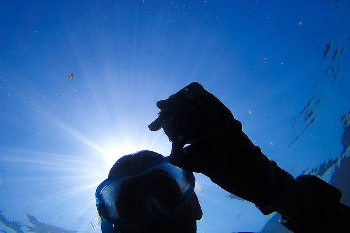 Snorkling - Marine Park Discovery