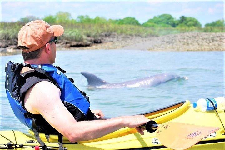 2 - Visite guidée d'une heure en kayak Eco à Charleston