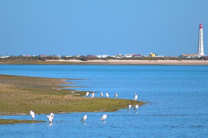 Private Ria Formosa Natuurpark Bootcruise vanuit Faro