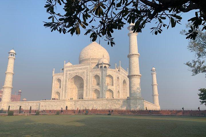 Taj Mahal Virtual Tour with Local Guide(Online Experience )