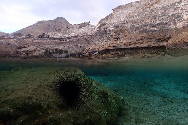 Tour de snorkeling