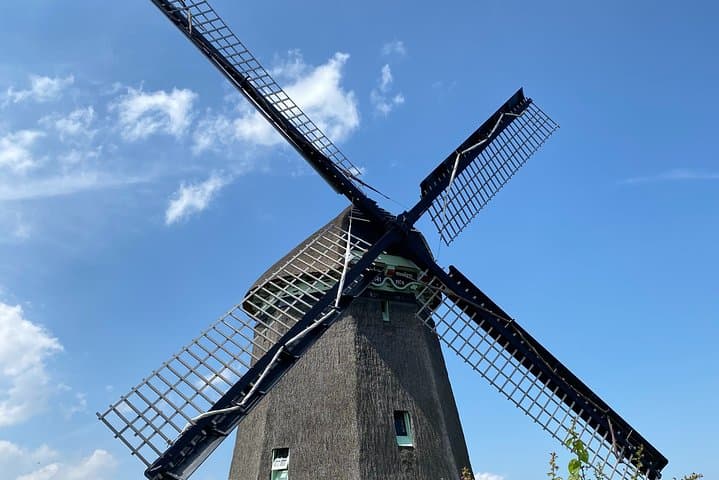 Escape Amsterdam: E-Bike to Zaanse Schans Windmills & Zaandam