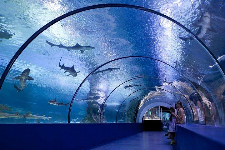 Kemer: Biljett till Antalya Aquarium med hotelltransfer