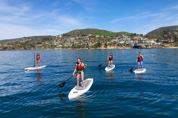Laguna Beach Kayak Tour med Sea Lion Viewing