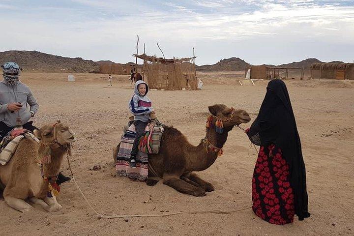 3-timers Desert Safari Quad Bike og Camel Ride
