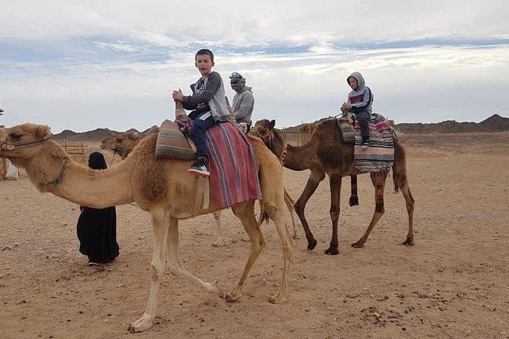 3-timers Desert Safari Quad Bike og Camel Ride