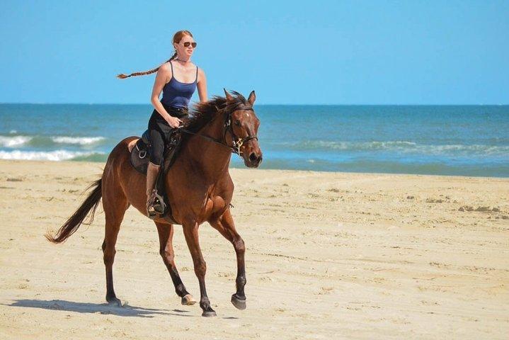 ビーチと砂漠でのカボサンルーカス乗馬